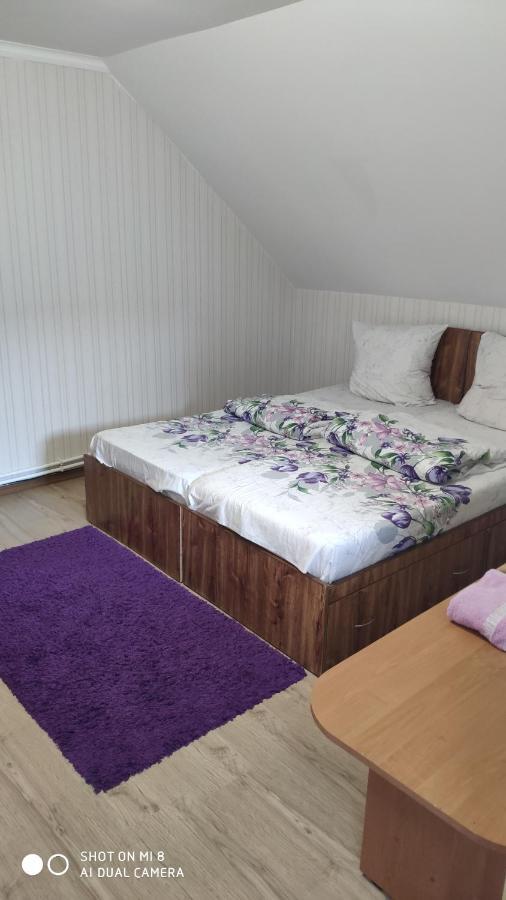 Apartament Ріточка Berehowo Zewnętrze zdjęcie